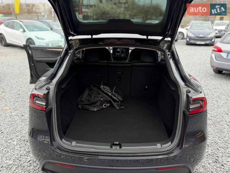 Позашляховик / Кросовер Tesla Model Y 2024 в Стрию фото 19 Позашляховик / Кросовер Tesla Model Y 2024 в Стрию