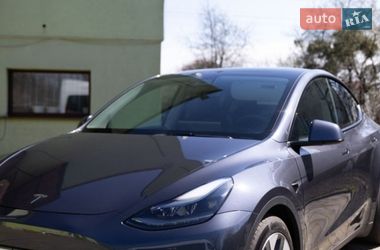 Позашляховик / Кросовер Tesla Model Y 2022 в Жовкві