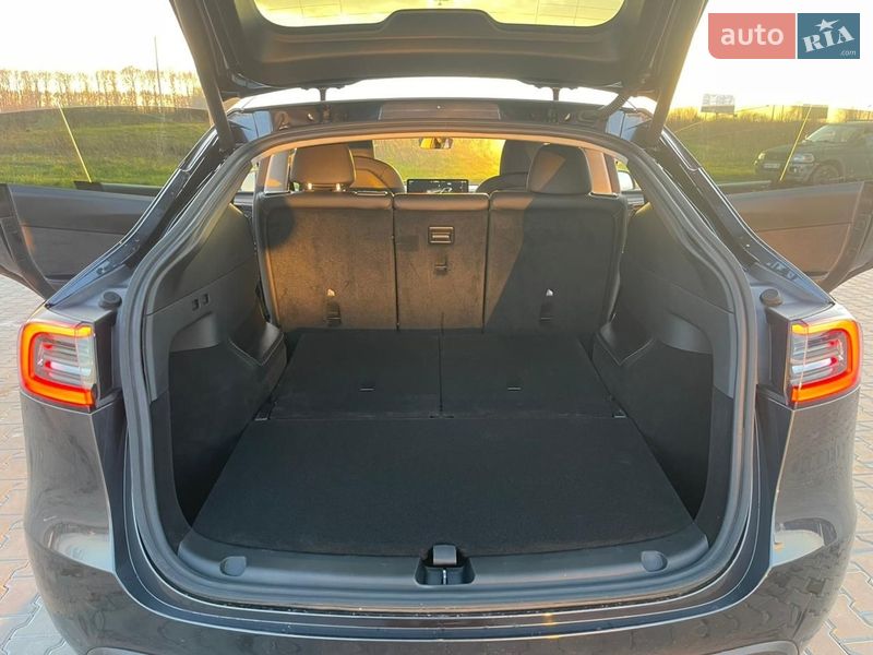 Позашляховик / Кросовер Tesla Model Y 2024 в Житомирі