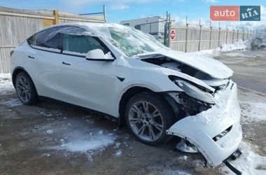 Внедорожник / Кроссовер Tesla Model Y 2023 в Киеве