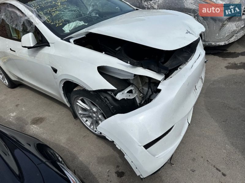 Позашляховик / Кросовер Tesla Model Y 2023 в Києві