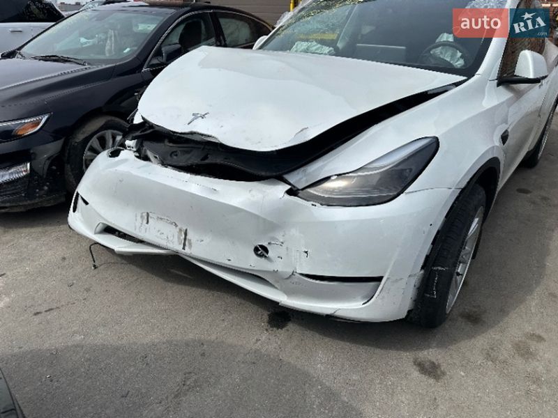 Позашляховик / Кросовер Tesla Model Y 2023 в Києві