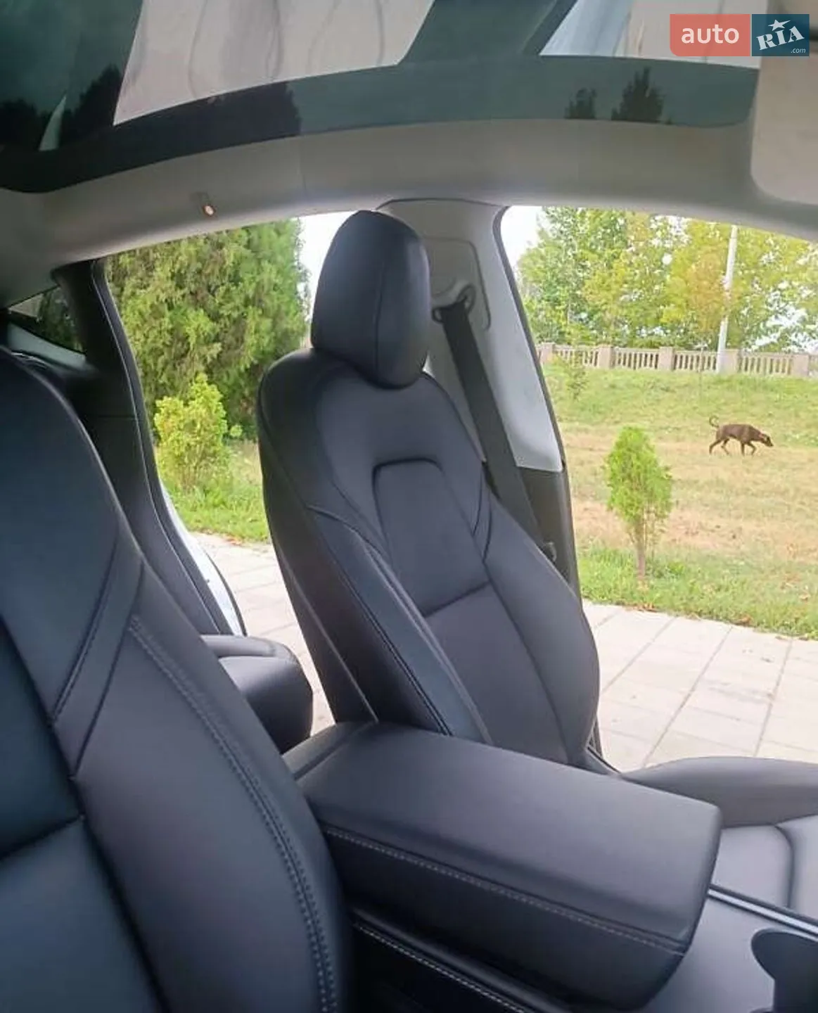 2022 Tesla Model Y - мініатюра 25