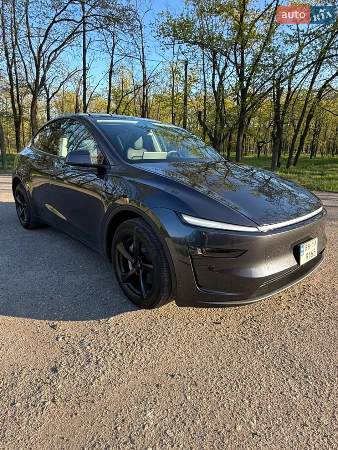 2025 Tesla Model Y - фото 1