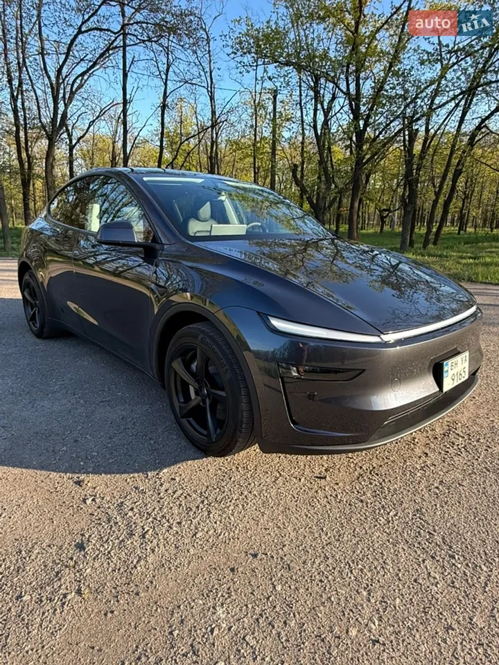 2025 Tesla Model Y - мініатюра 30