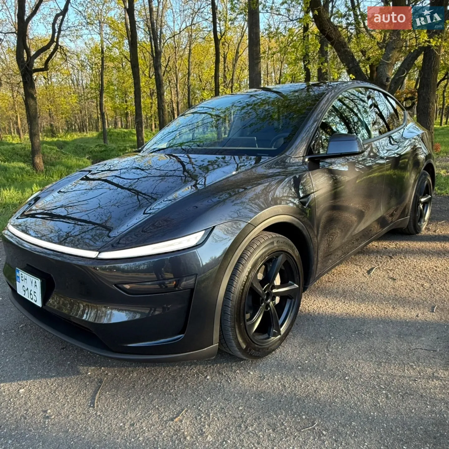 2025 Tesla Model Y - мініатюра 6