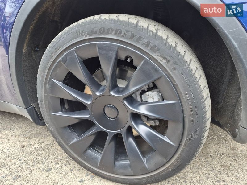 Внедорожник / Кроссовер Tesla Model Y 2023 в Черкассах