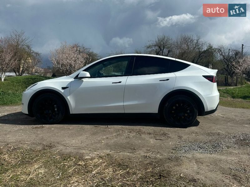 Позашляховик / Кросовер Tesla Model Y 2022 в Києві