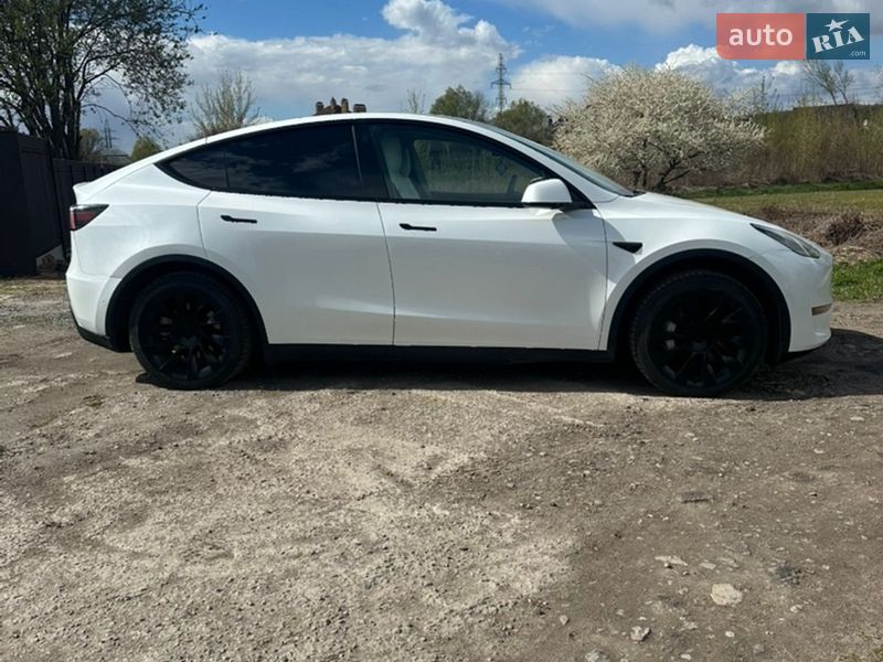 Позашляховик / Кросовер Tesla Model Y 2022 в Києві