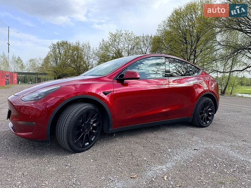 Позашляховик / Кросовер Tesla Model Y 2024 в Києві