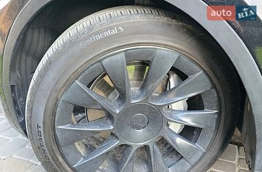 Внедорожник / Кроссовер Tesla Model Y 2021 в Киеве