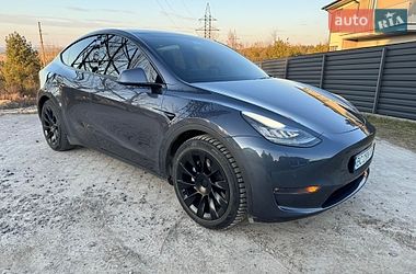 Внедорожник / Кроссовер Tesla Model Y 2020 в Новояворовске