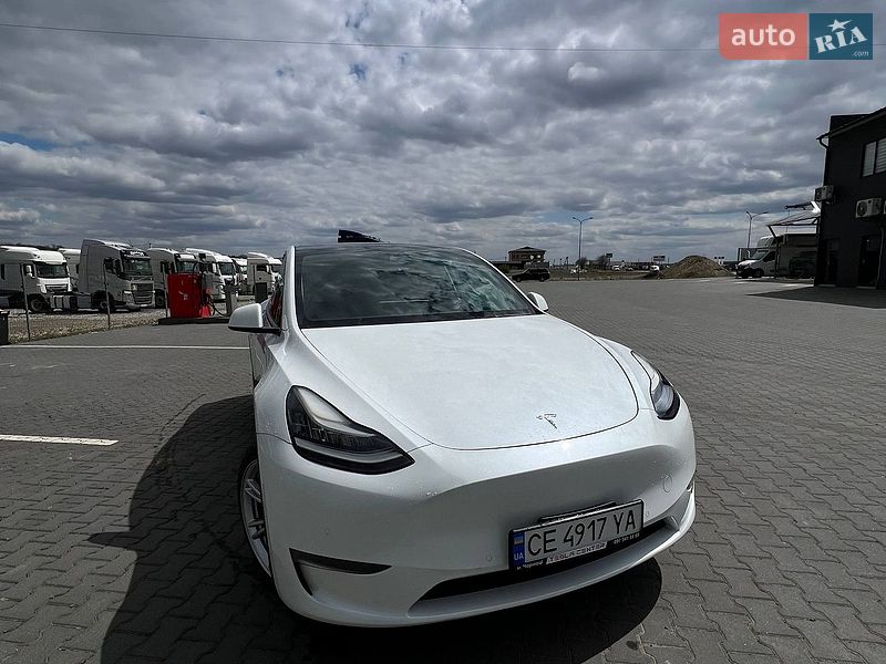 Внедорожник / Кроссовер Tesla Model Y 2021 в Черновцах