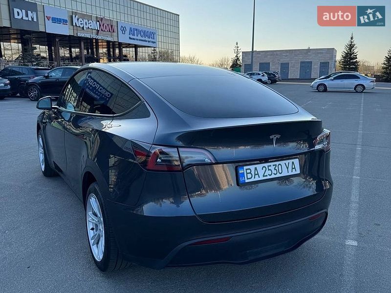 Позашляховик / Кросовер Tesla Model Y 2024 в Києві