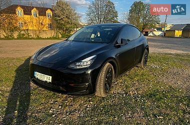 Внедорожник / Кроссовер Tesla Model Y 2021 в Бродах