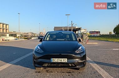 Внедорожник / Кроссовер Tesla Model Y 2024 в Львове фото 15 Внедорожник / Кроссовер Tesla Model Y 2024 в Львове