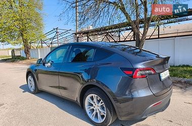 Внедорожник / Кроссовер Tesla Model Y 2024 в Сквире
