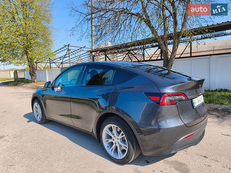 Внедорожник / Кроссовер Tesla Model Y 2024 в Сквире