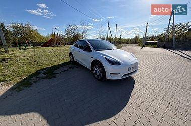 Внедорожник / Кроссовер Tesla Model Y 2023 в Львове