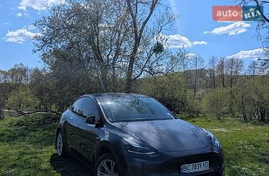Внедорожник / Кроссовер Tesla Model Y 2024 в Львове