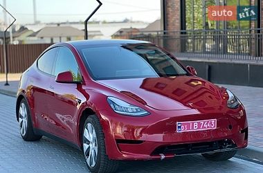 Внедорожник / Кроссовер Tesla Model Y 2023 в Виннице