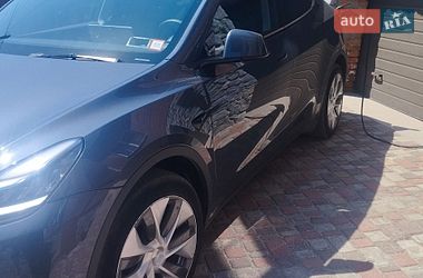 Внедорожник / Кроссовер Tesla Model Y 2023 в Полтаве