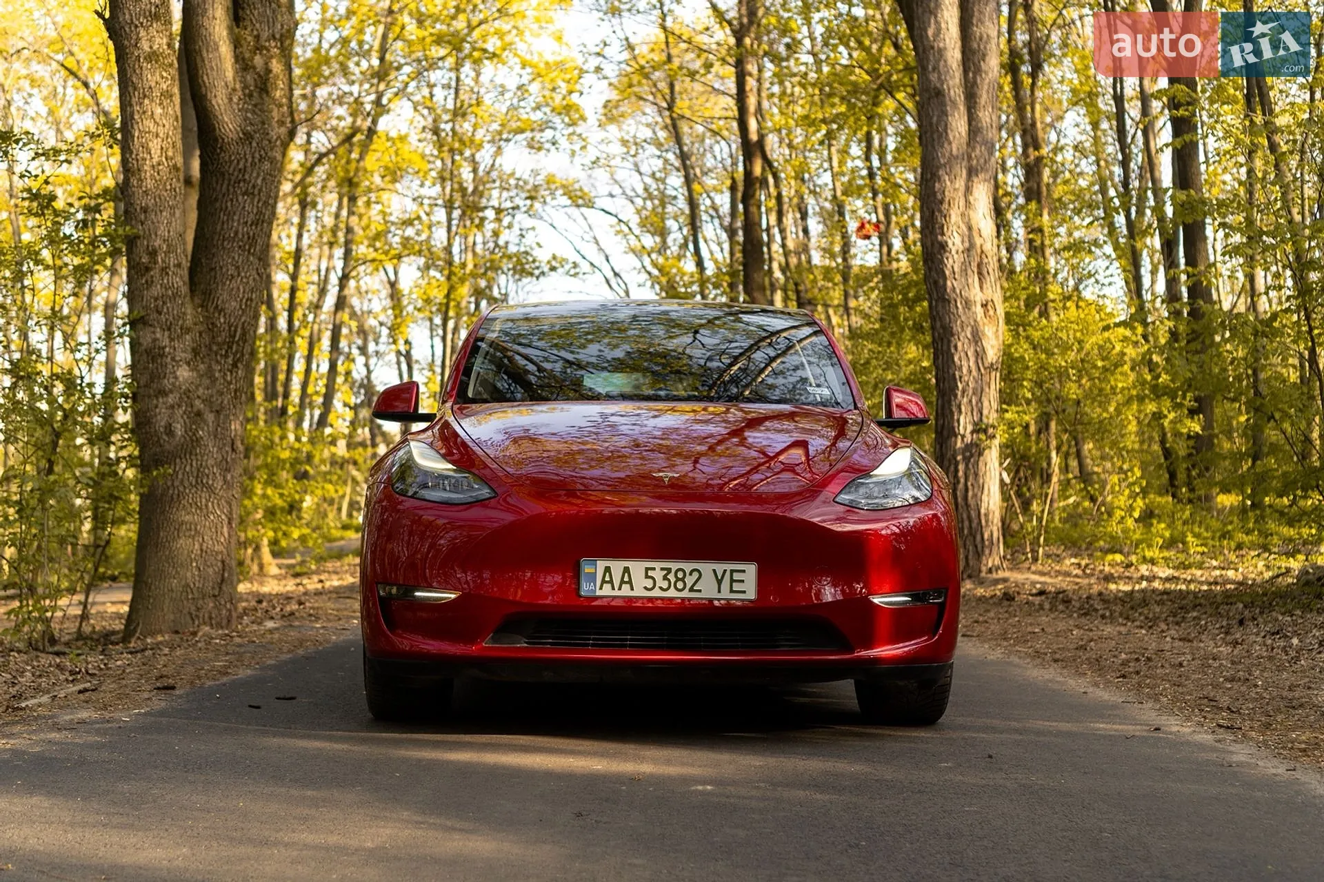 2021 Tesla Model Y - мініатюра 2