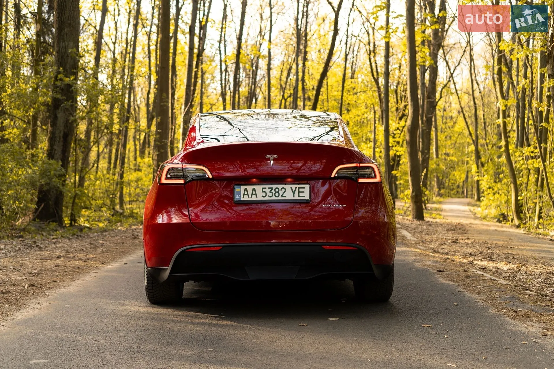2021 Tesla Model Y - мініатюра 3