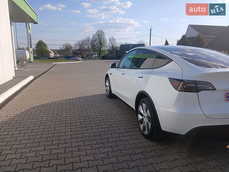 Внедорожник / Кроссовер Tesla Model Y 2023 в Калиновке