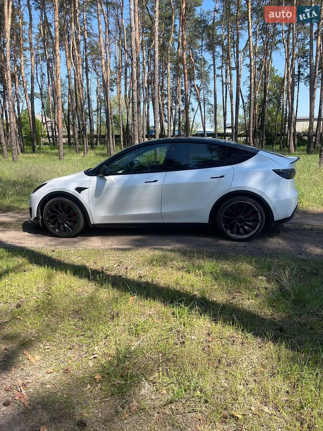 2022 Tesla Model Y - мініатюра 6