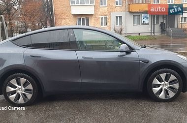 Внедорожник / Кроссовер Tesla Model Y 2023 в Чернигове