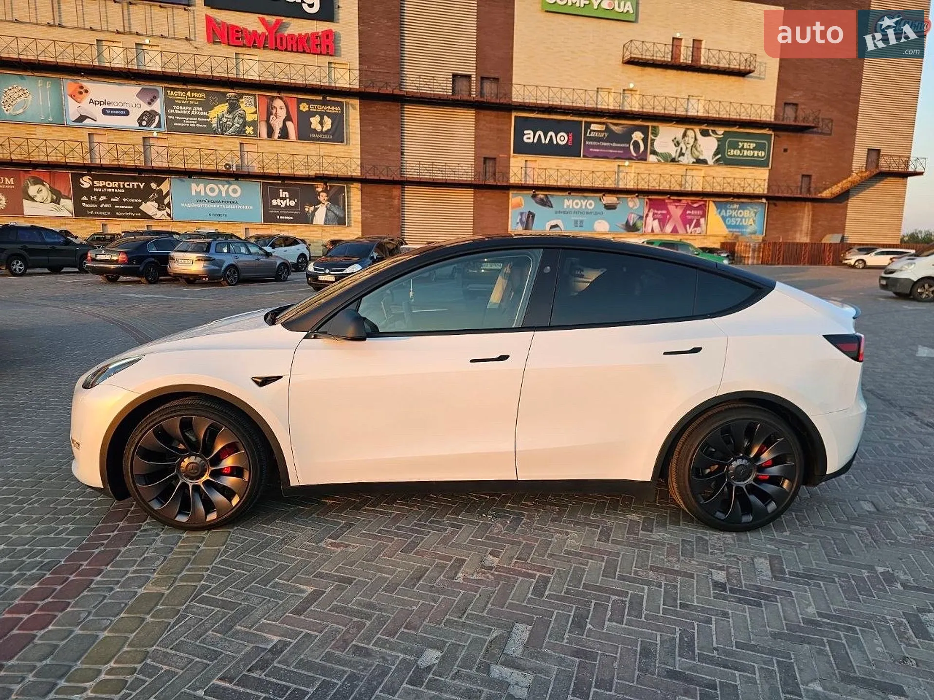 2024 Tesla Model Y - мініатюра 15