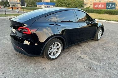Позашляховик / Кросовер Tesla Model Y 2021 в Сумах