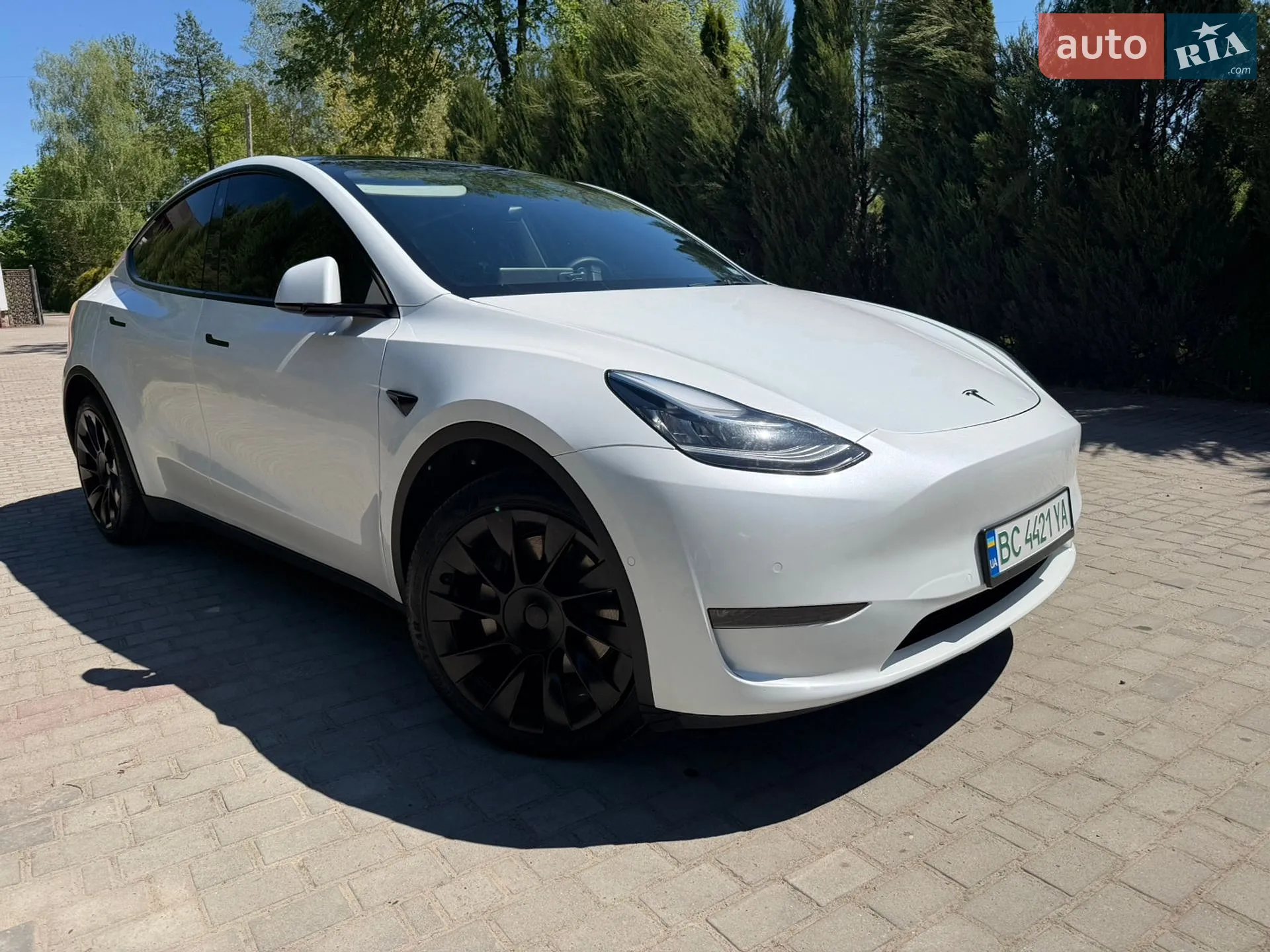 Tesla Model Y 2025 VIN 7SAYGDEE1TA388405 фото оголошення 3 з 20