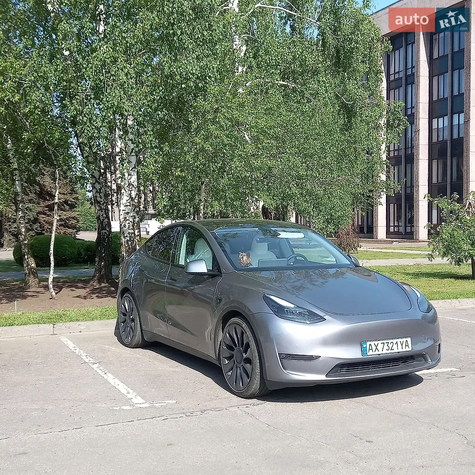 2025 Tesla Model Y - мініатюра 18