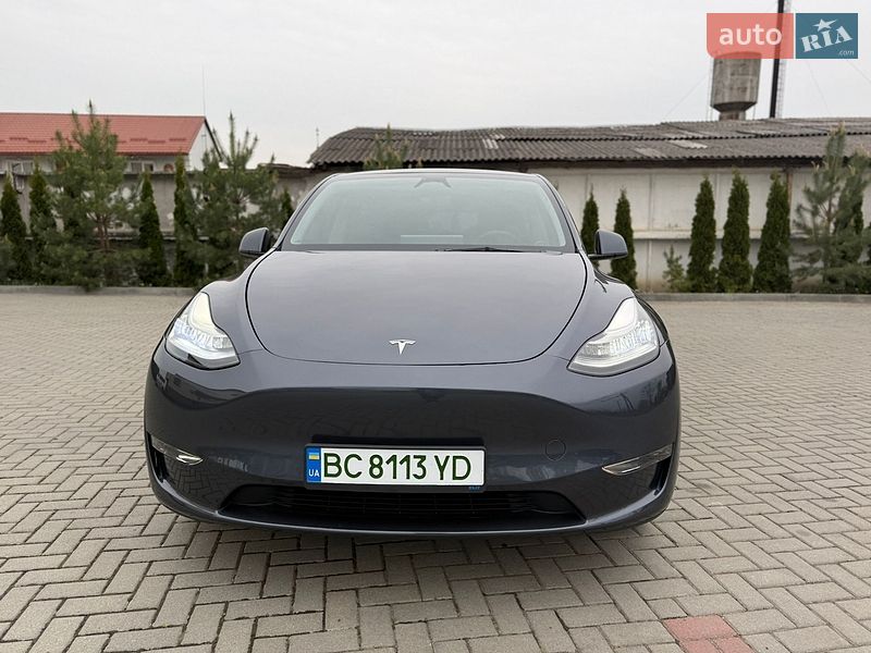 Позашляховик / Кросовер Tesla Model Y 2023 в Львові