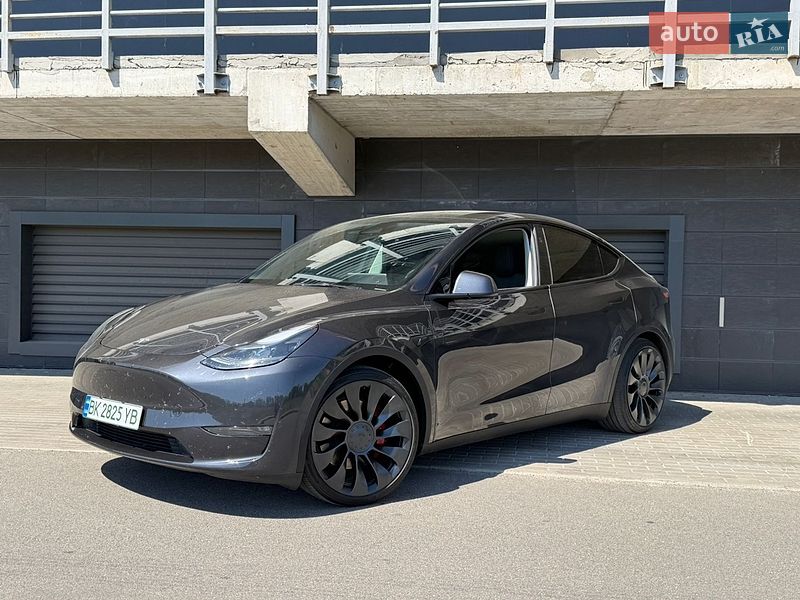 Позашляховик / Кросовер Tesla Model Y 2024 в Києві