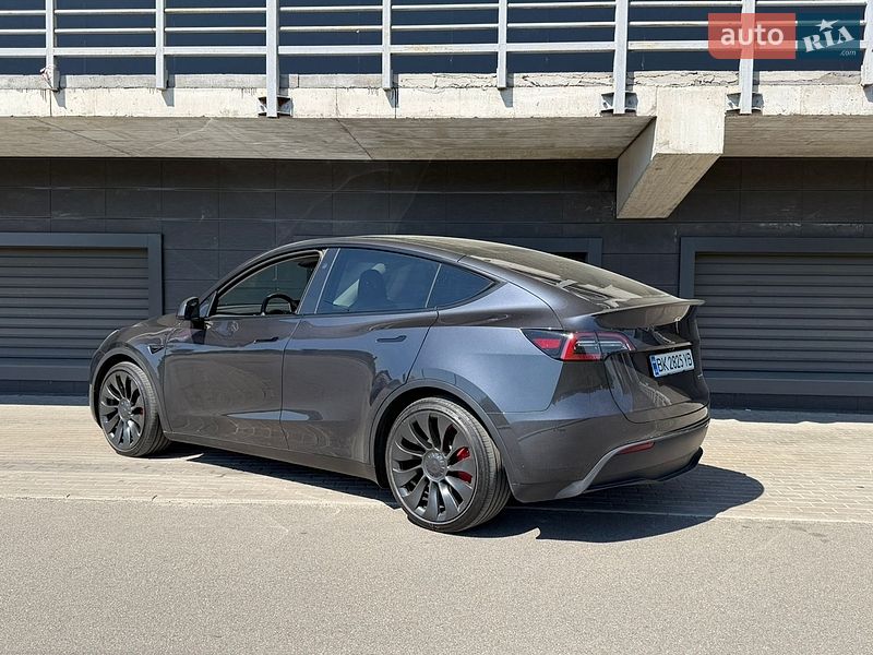 Позашляховик / Кросовер Tesla Model Y 2024 в Києві