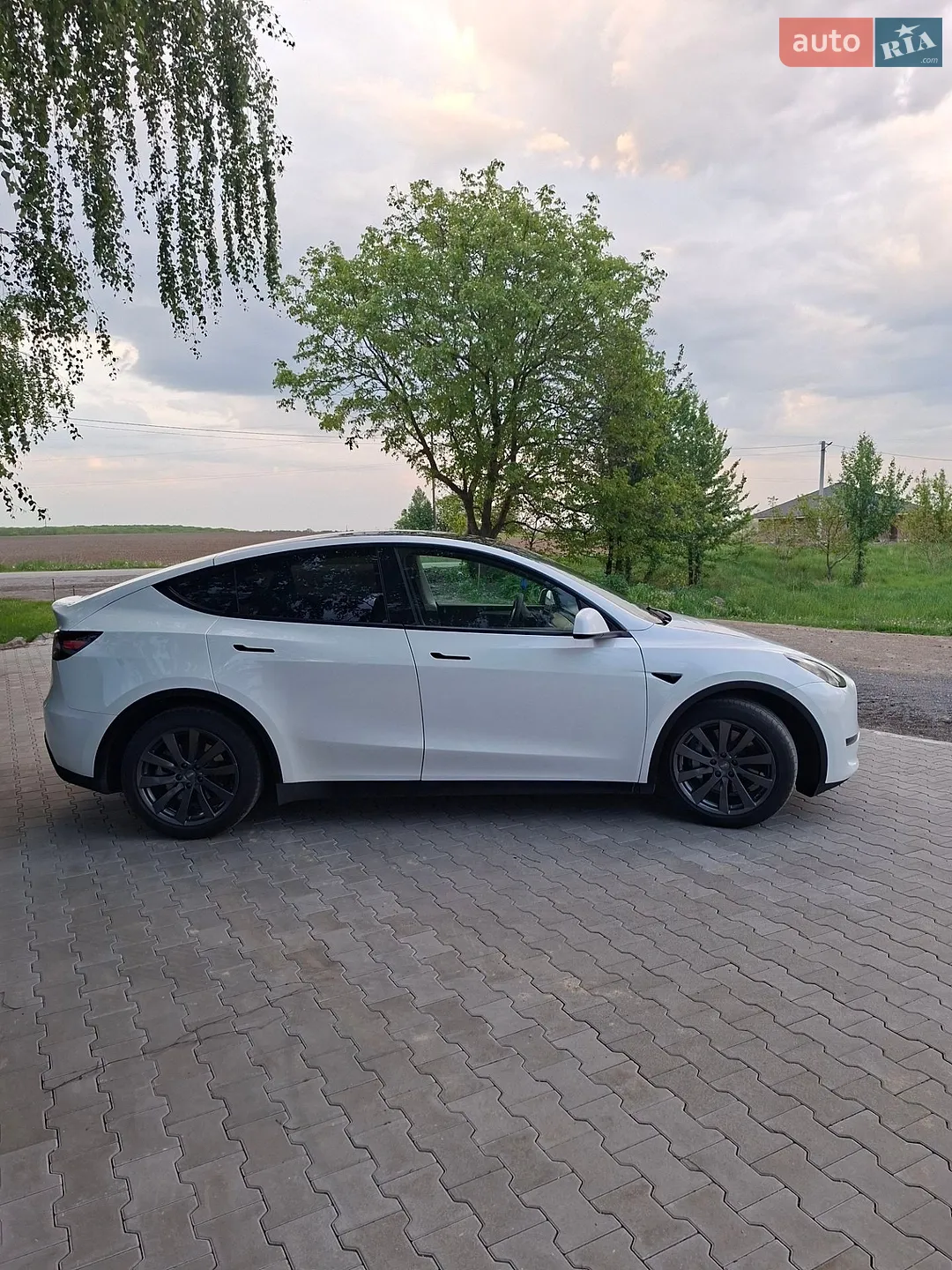 2023 Tesla Model Y - мініатюра 6