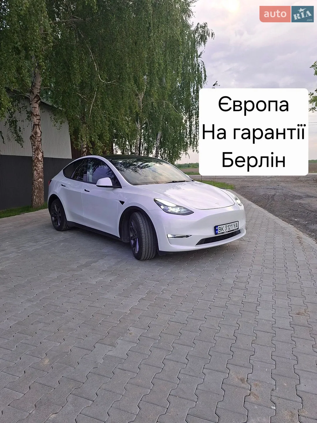 2023 Tesla Model Y - фото 1
