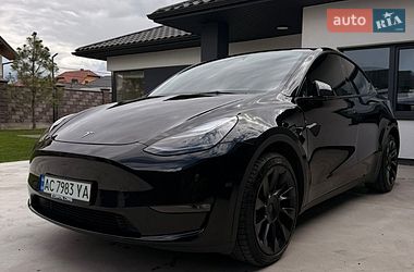 Позашляховик / Кросовер Tesla Model Y 2023 в Луцьку