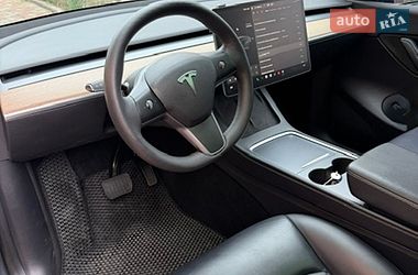 Позашляховик / Кросовер Tesla Model Y 2021 в Івано-Франківську