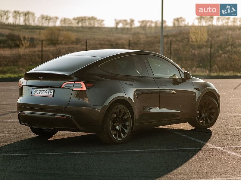 Внедорожник / Кроссовер Tesla Model Y 2024 в Ровно
