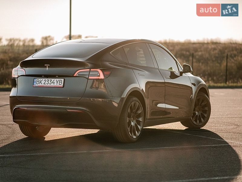Внедорожник / Кроссовер Tesla Model Y 2024 в Ровно
