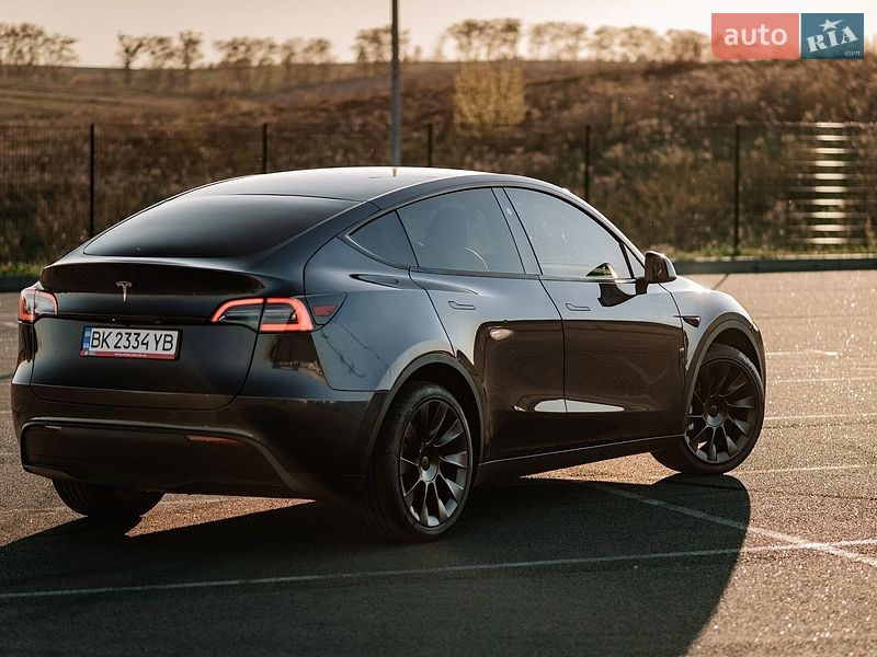 Внедорожник / Кроссовер Tesla Model Y 2024 в Ровно