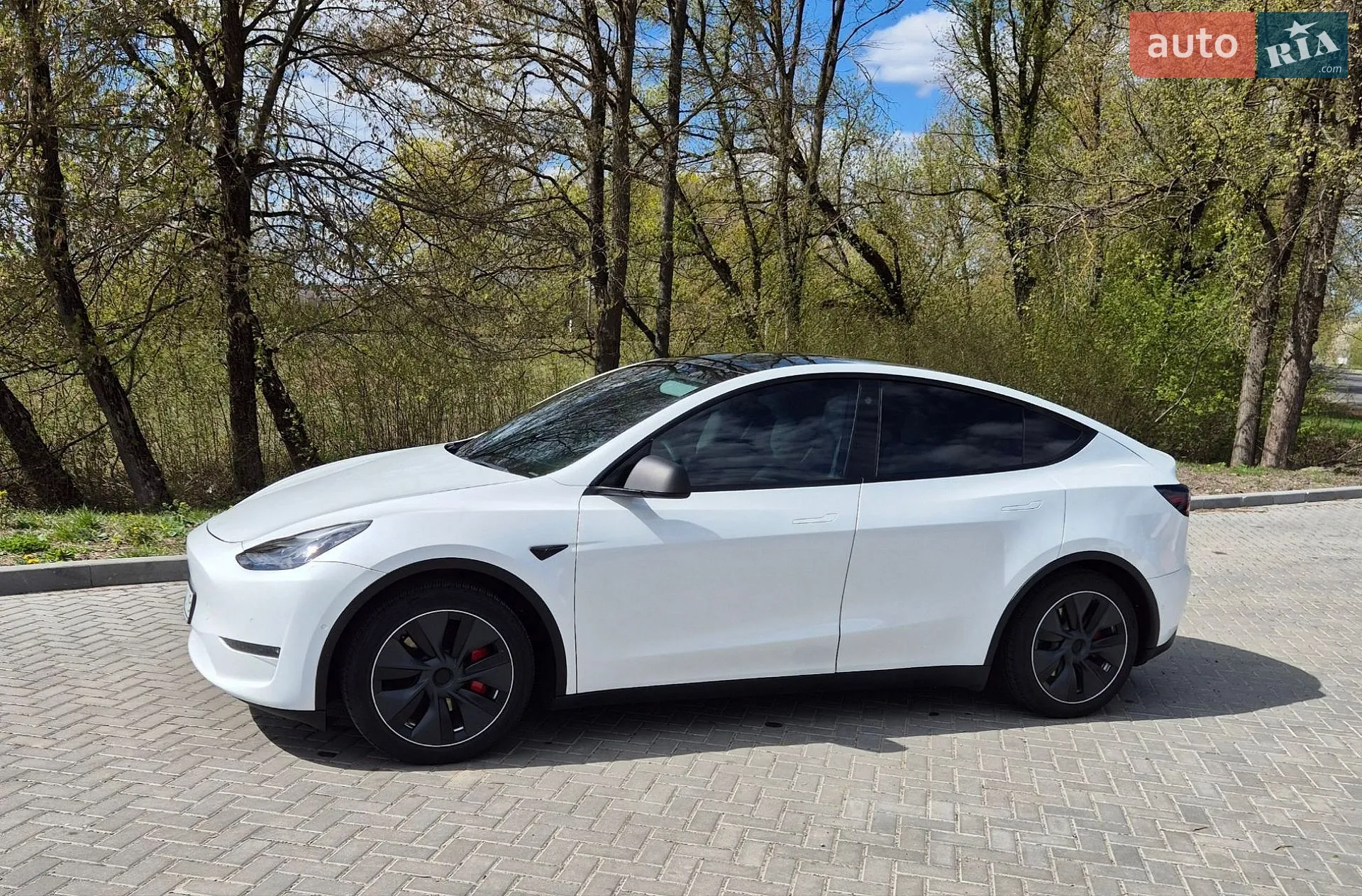 2021 Tesla Model Y - мініатюра 9