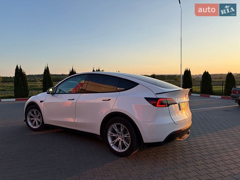 Внедорожник / Кроссовер Tesla Model Y 2021 в Черновцах