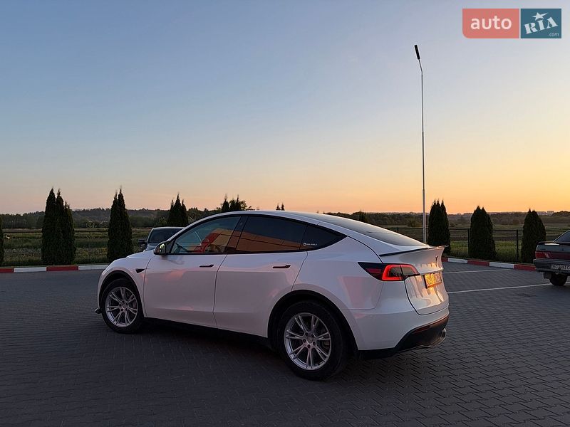 Внедорожник / Кроссовер Tesla Model Y 2021 в Черновцах