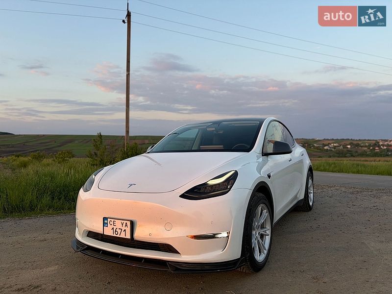 Внедорожник / Кроссовер Tesla Model Y 2021 в Черновцах
