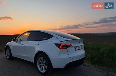 Внедорожник / Кроссовер Tesla Model Y 2021 в Черновцах